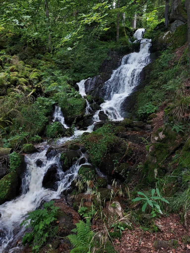 vue sur la cascade de la Serva en contre-bas du Champ du Feu