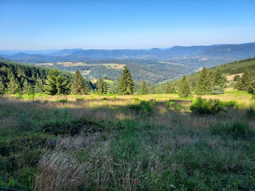 vue depuis le Haut des Monts sur le plateau de Bellefosse en contre-bas du Champ du Feu et allant vers la cascade de la Serva