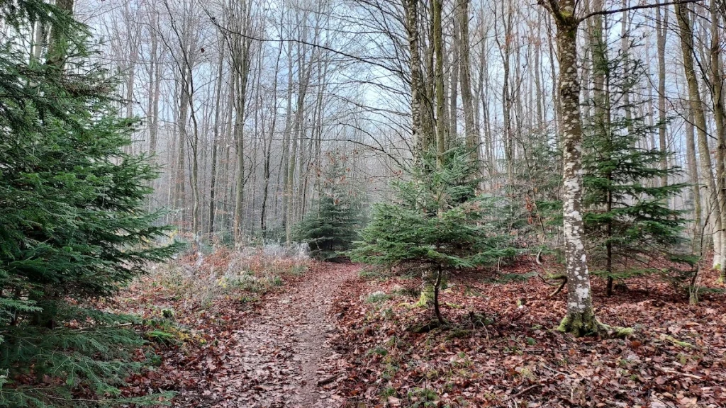 Direction Heidenkopf
