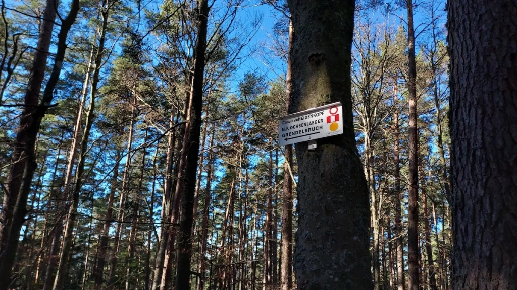 panneau directionnel du Club Vosgien sur un arbre