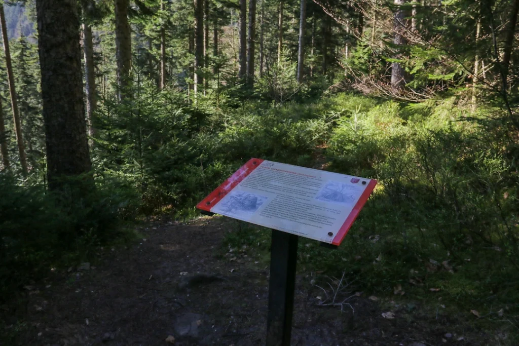 borne de lecture dans une forêt