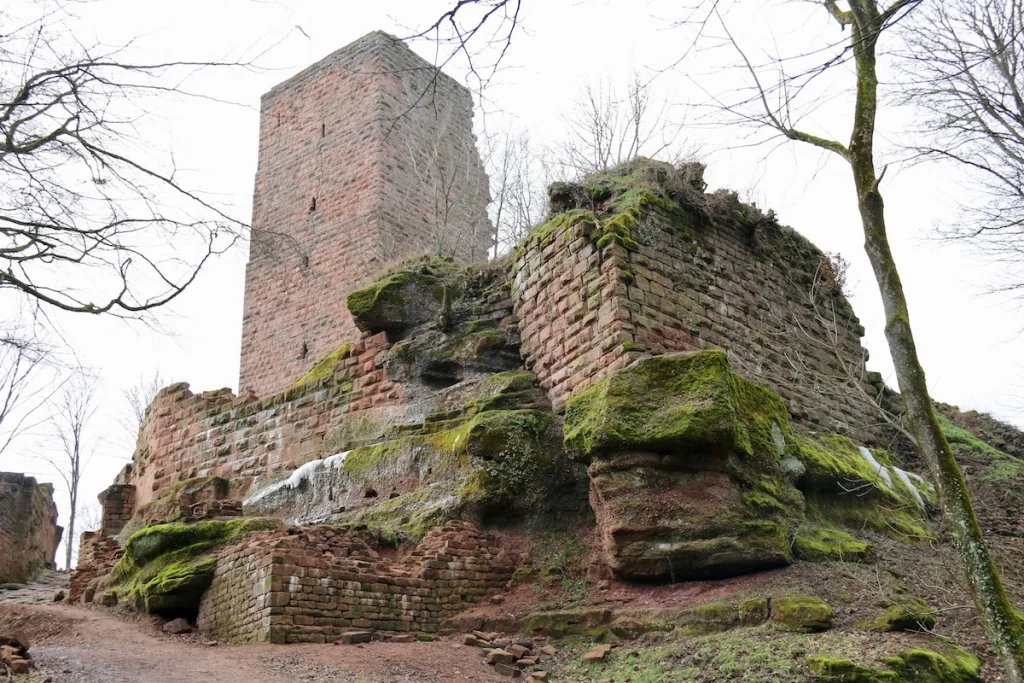vue sur le donjon du château de Grand Geroldseck