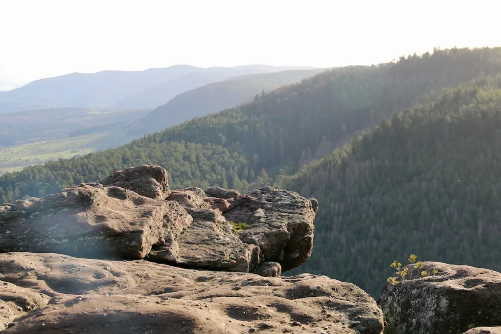 Rocher du Brotsch avec la vue sur la forêt et sommets vosgiens